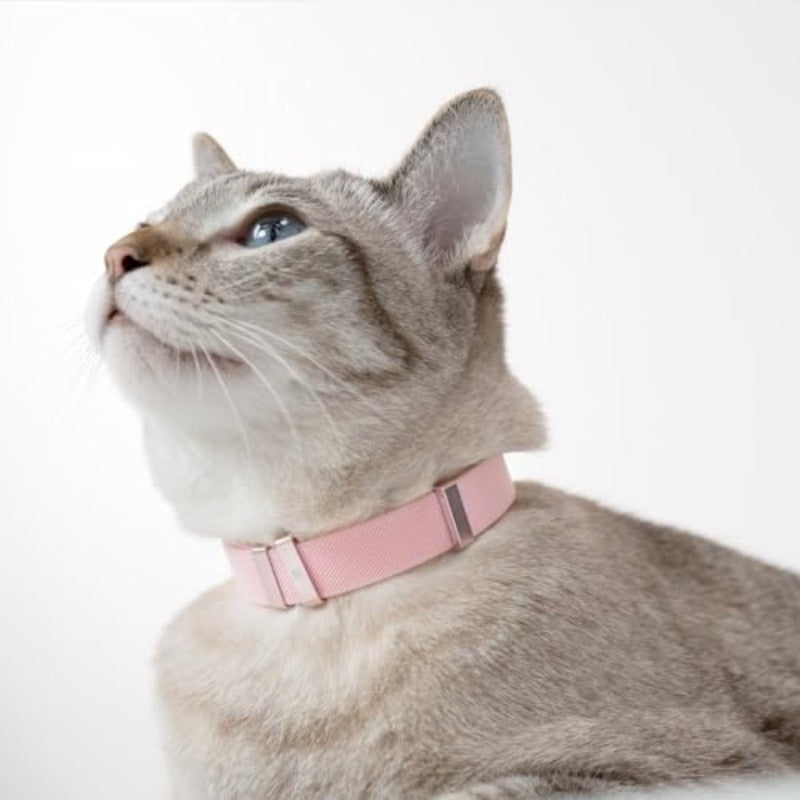 IDA Golden Award-Winning Safety Cat Collar - Quick-Release Non-Breakaway Adjustable Elastic Collar for Kittens & All Cats (5.9\