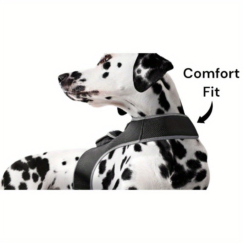 Rechargeable Mini Collar GPS Tag Pet Tracker w Wirel Realtime App Size:XS