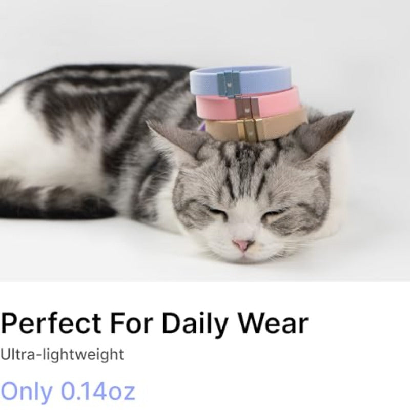 IDA Golden Award-Winning Safety Cat Collar - Quick-Release Non-Breakaway Adjustable Elastic Collar for Kittens & All Cats (5.9\