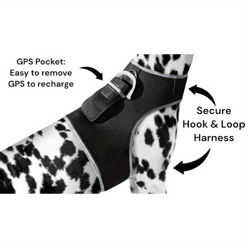 Rechargeable Mini Collar GPS Tag Pet Tracker w Wirel Realtime App Size:XS