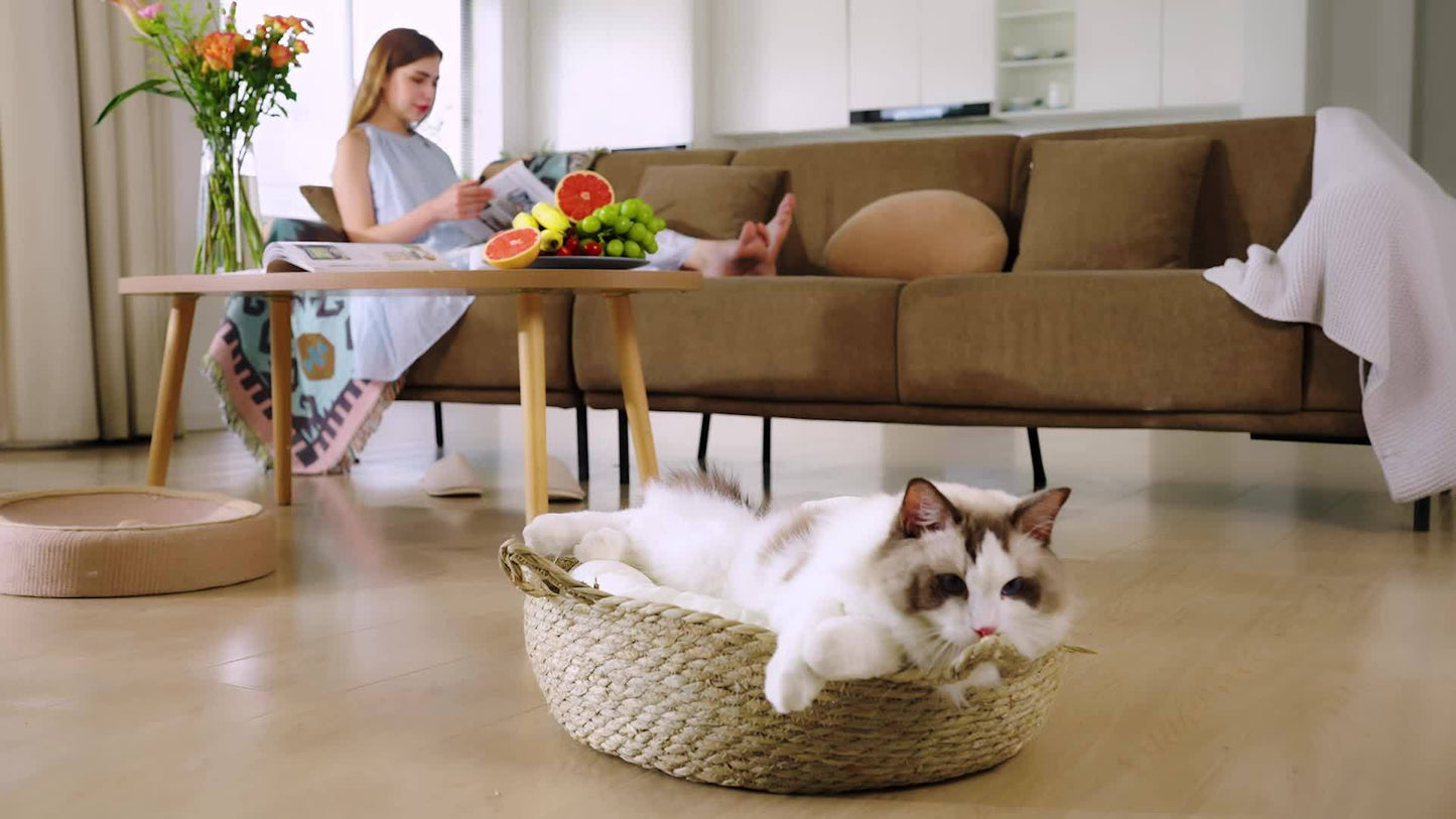 Self Cleaning Litter Box, Automatic Cat Litter Box Self Cleaning For Multiple Cats, Odor Removal Anti Pinch Kitty Litter Box, APP Control Smart Litter Box With Liners Bags, Without Battery