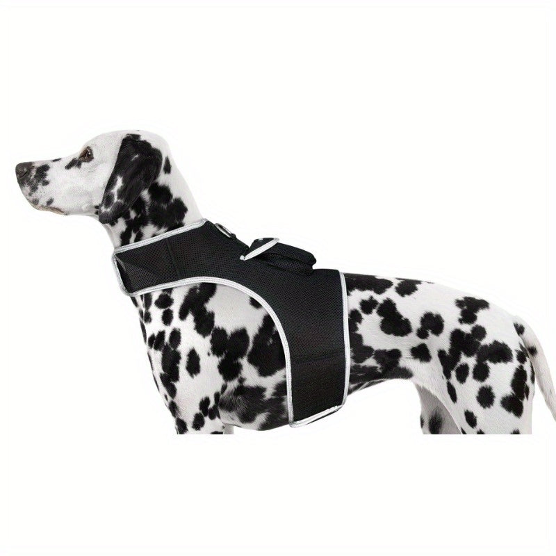 Rechargeable Mini Collar GPS Tag Pet Tracker w Wirel Realtime App Size:XS