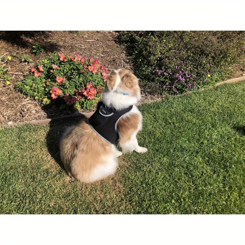 Rechargeable Mini Collar GPS Tag Pet Tracker w Wirel Realtime App Size:XS
